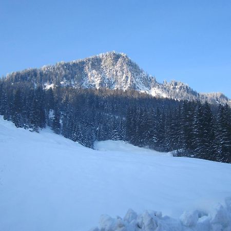 Oberschlassbergbauer วัลด์ อิม พินซ์เกา ภายนอก รูปภาพ